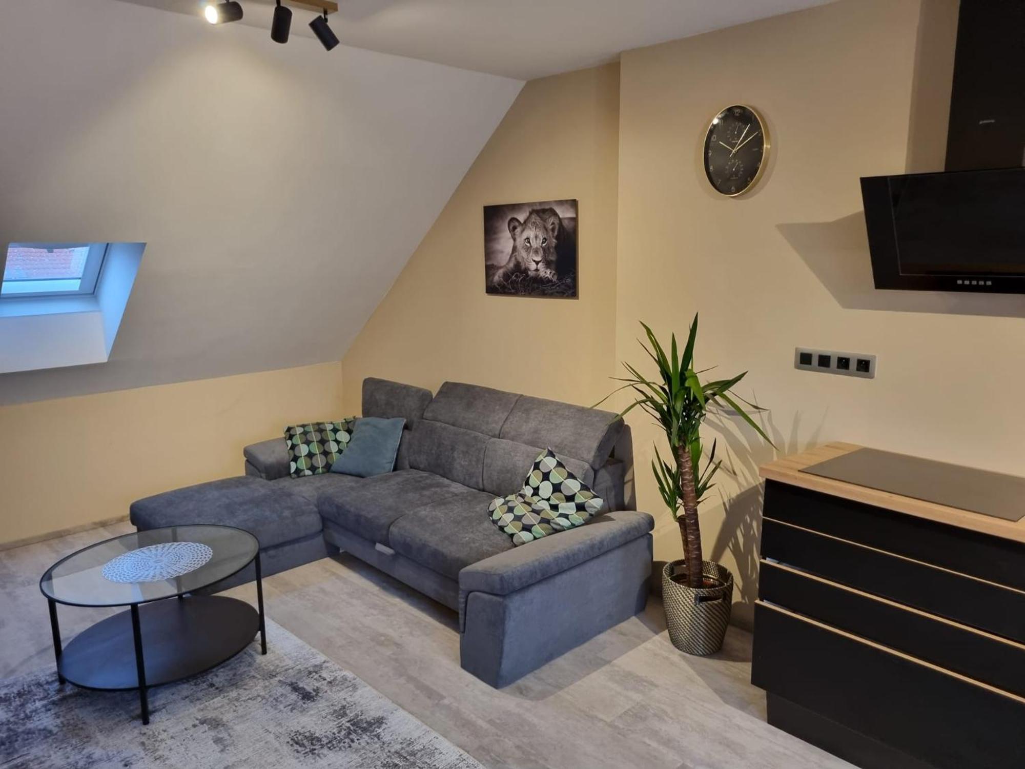 Vltava Design Daire Prag