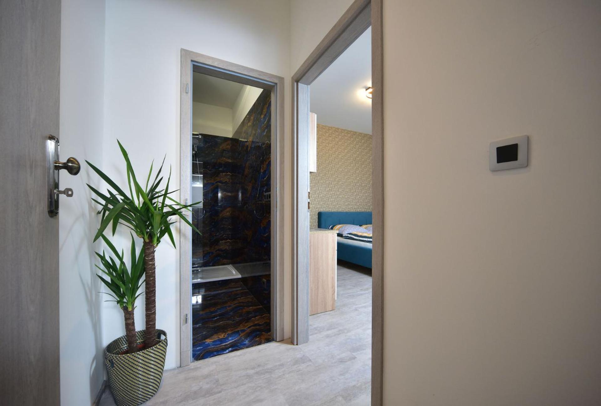 Daire Vltava Design