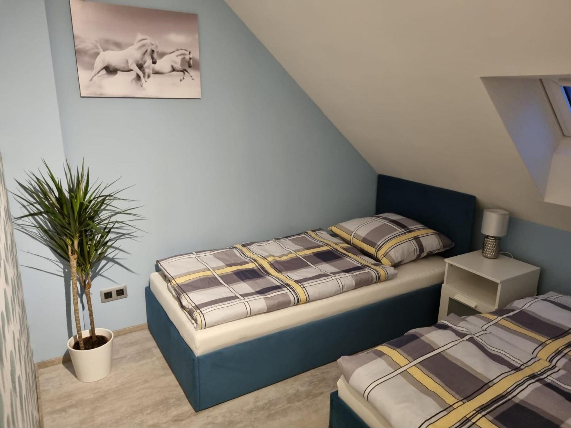 Vltava Design Daire