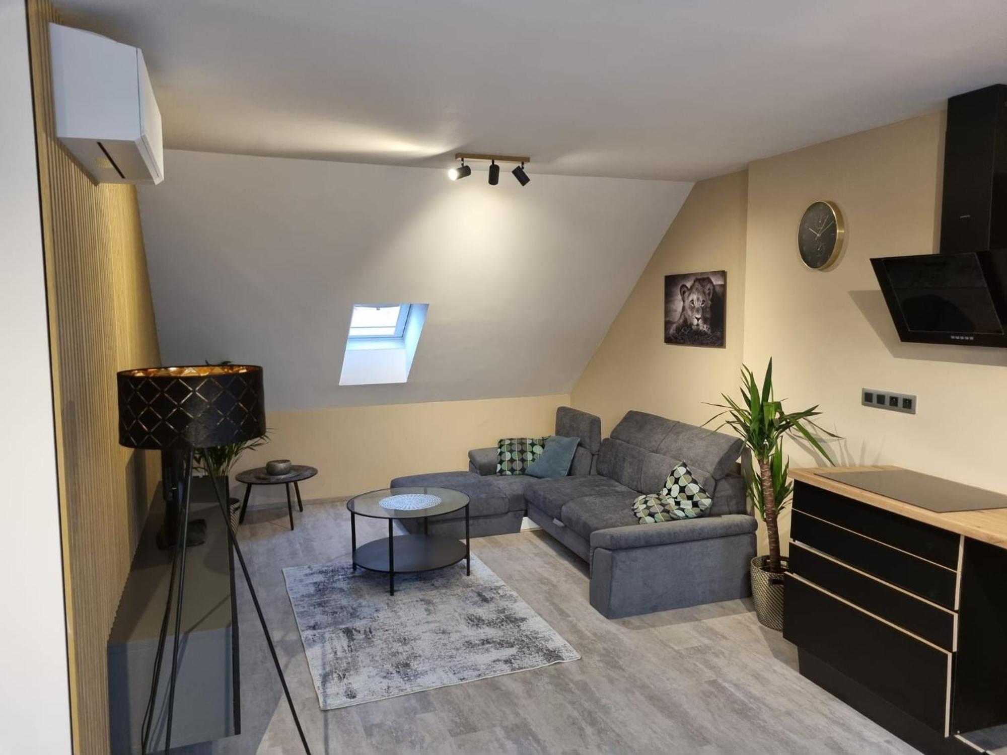 Vltava Design Daire *